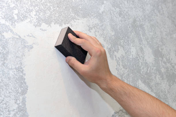 Best Forensic Mold Investigation  in Niles, OH