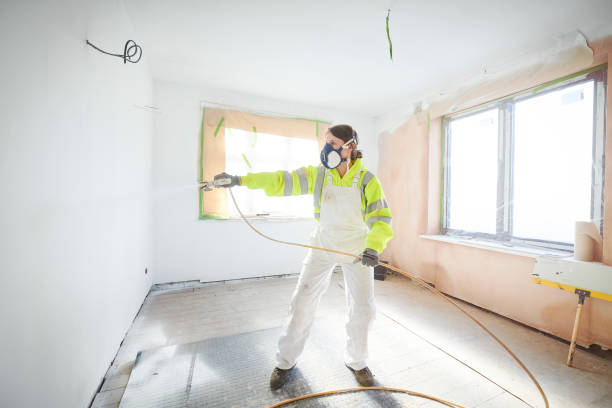 Professional Mold Removal in Niles, OH