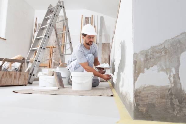 Best Real Estate Mold Inspection  in Niles, OH