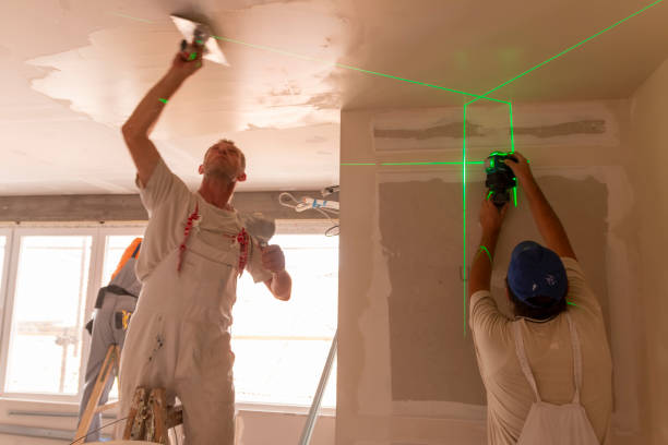 Best Biohazard Mold Removal  in Niles, OH