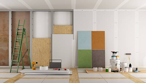 Best Airborne Mold Testing  in Niles, OH