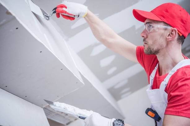 Best Water Damage & Mold Remediation  in Niles, OH